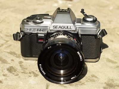 Seagull DF-300.jpg